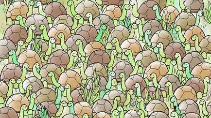 Получится только у самых внимательных. А вы найдете змею среди черепах?