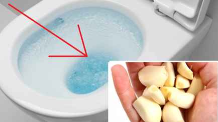 Не бросаете чеснок в унитаз? Узнали, когда это нужно делать всем и зачем