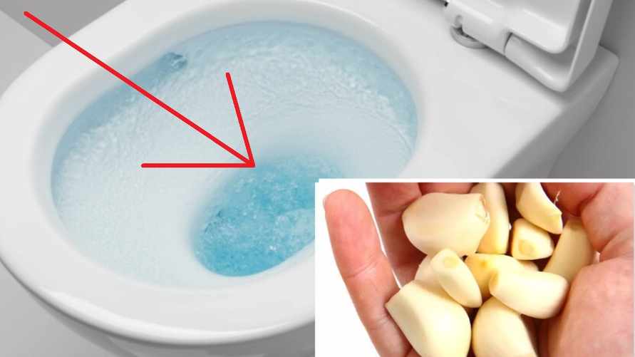 Не бросаете чеснок в унитаз? Узнали, когда это нужно делать всем и зачем