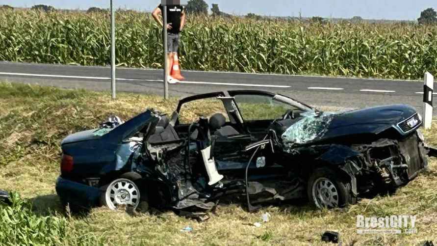 Фото: brestcity.com