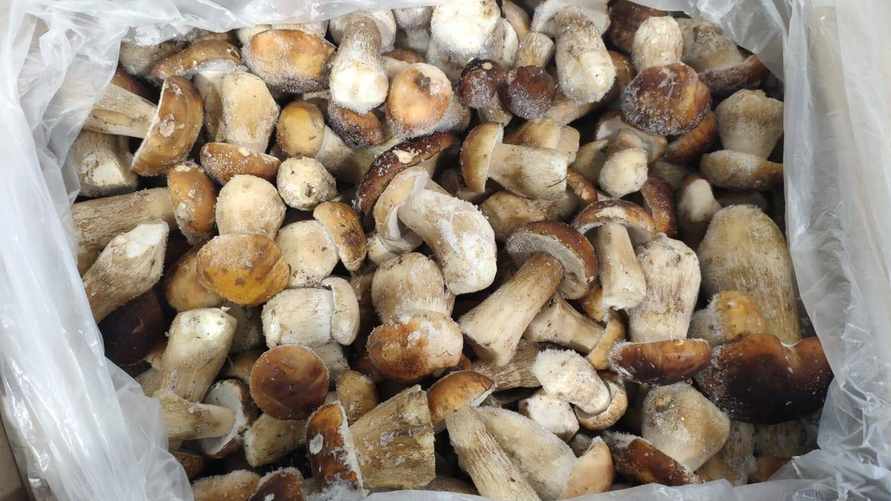 Сколько можно хранить замороженные грибы? Узнали, как ими не отравиться