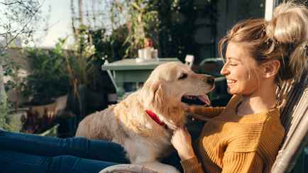 Белорусских владельцев собак предупредили о штрафе в 370 рублей. Кого ждёт на 1110?