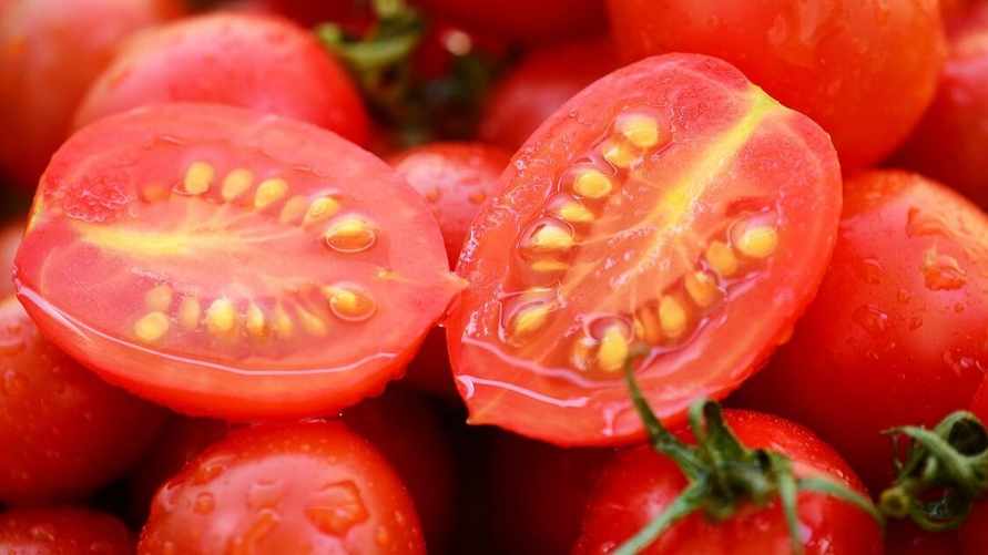 Как собрать семена помидоров? Вот что нельзя делать ни в коем случае