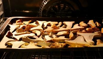 Как сушить грибы в духовке? 2 важных правила, о которых стоит помнить каждому