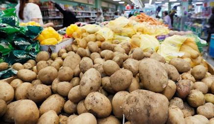 Цены на свежие овощи пошли вниз. Где в Беларуси купить помидоры по 1,3 рубля, а картошку по 65 копеек?