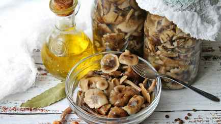 Сколько уксуса нужно для маринования грибов? Нашли правильные пропорции