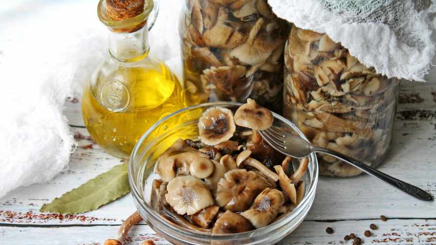 Сколько уксуса нужно для маринования грибов? Нашли правильные пропорции