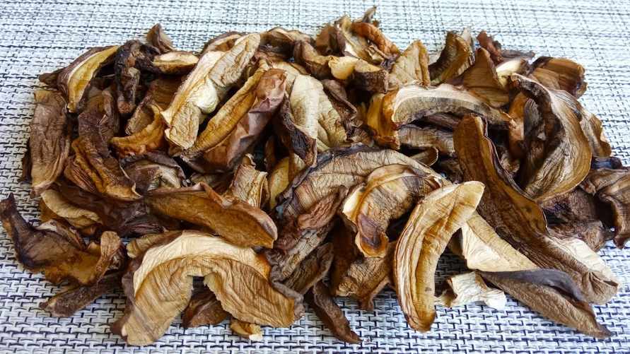 Как высушить грибы за 30 минут? Нашли безопасный экспресс-метод