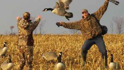 В Беларуси объявили о начале сезона охоты на пернатую дичь. Когда и на кого можно идти с ружьём и какие штрафы?