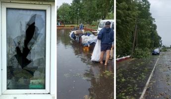 Выбитые окна и поваленные деревья — В Брестской области прошел «ураган»