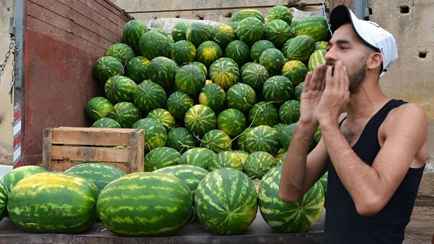 Эксперты обнаружили арбузы, которые могут лишить зрения. На что смотреть белорусам, чтобы не купить?