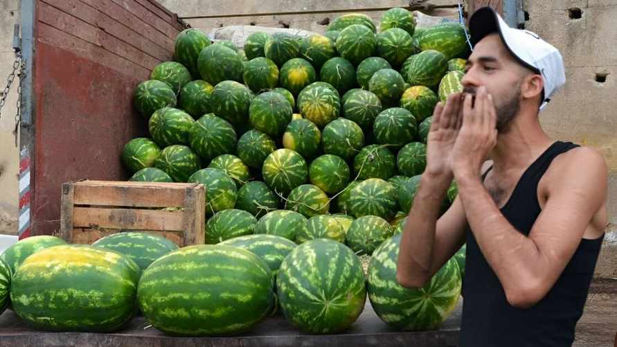 Эксперты обнаружили арбузы, которые могут лишить зрения. На что смотреть белорусам, чтобы не купить?