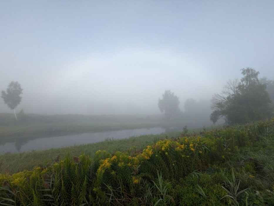 Фото: тг-канал Nadvorie