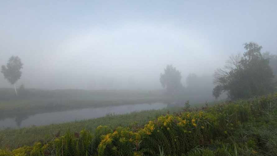 Фото: тг-канал Nadvorie