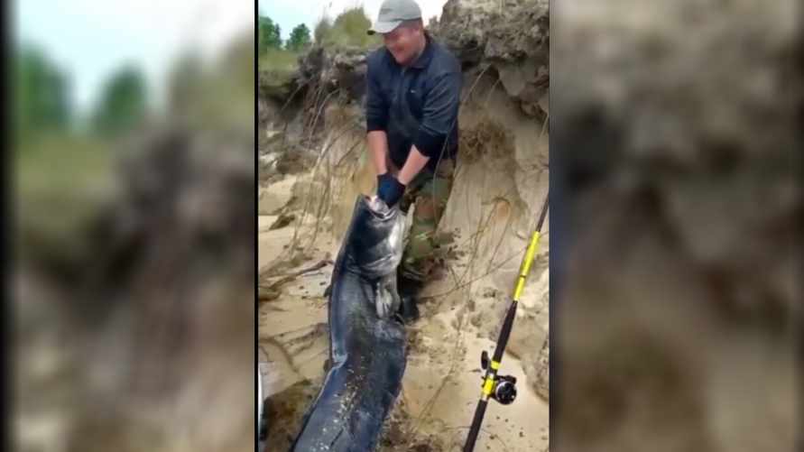 Скриншот с видео