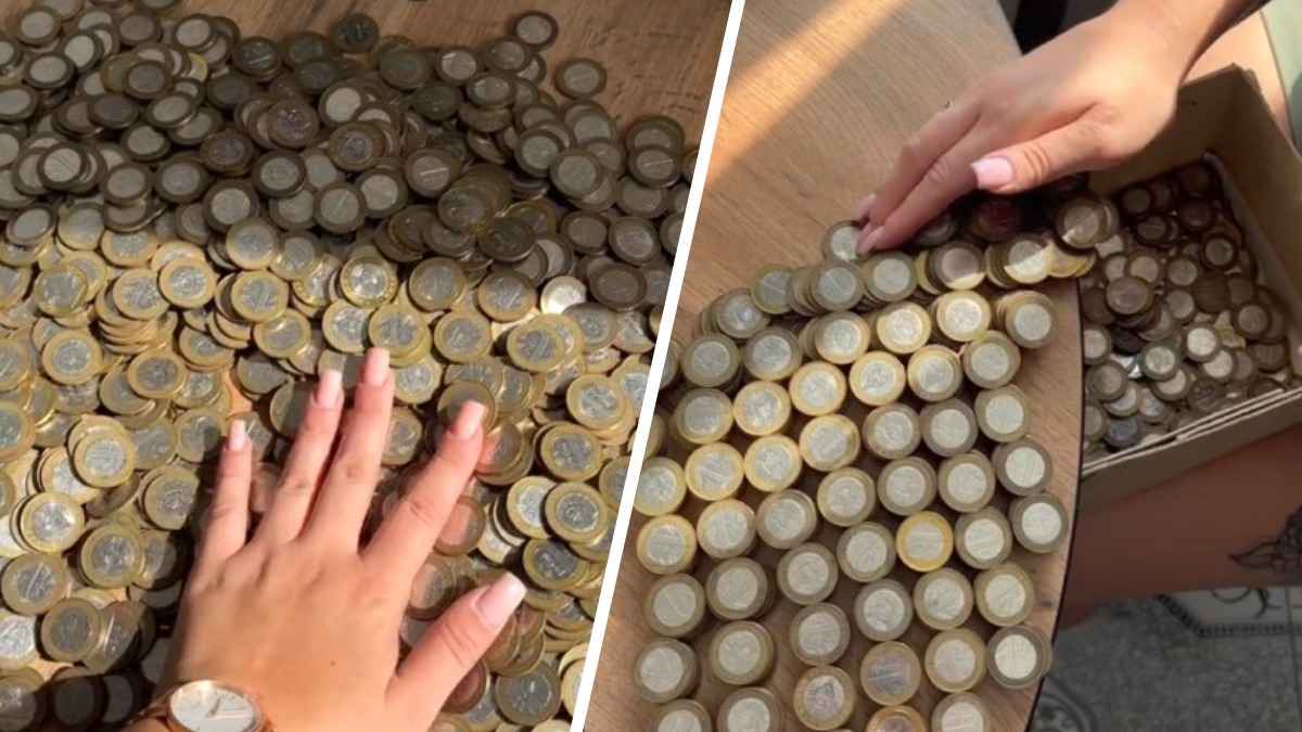 Белорусы семь месяцев собирали монеты по 2 рубля. Сколько накопили?