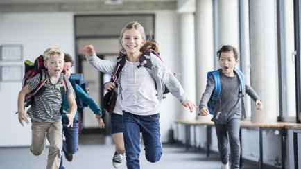 Когда белорусские школьники уйдут на каникулы в 2023/2024 учебном году? Минобразования озвучило график