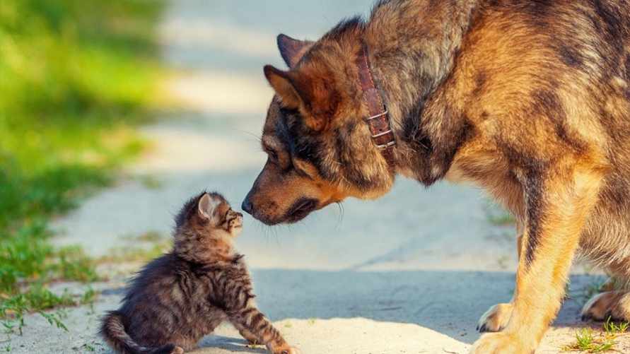 Фото иллюстрационное