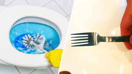 Зачем чистить унитаз вилкой? Необычный, но эффективный метод (без царапин)
