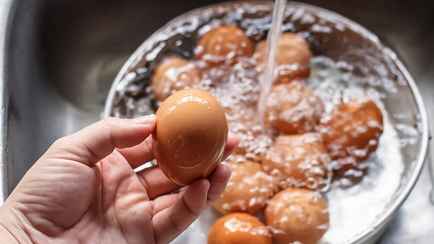 Нужно мыть яйца или нет? Разобрались, когда риск заболеть сальмонеллёзом выше