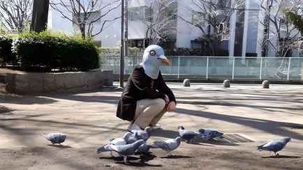 Ученые нашли связь между птицами и количеством психически нездоровых людей