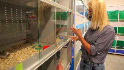 Белорусов попросили перестать покупать этих животных. Почему?