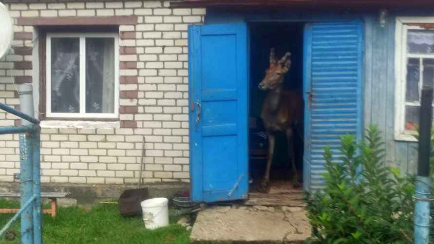 Фото с сайта sb.by