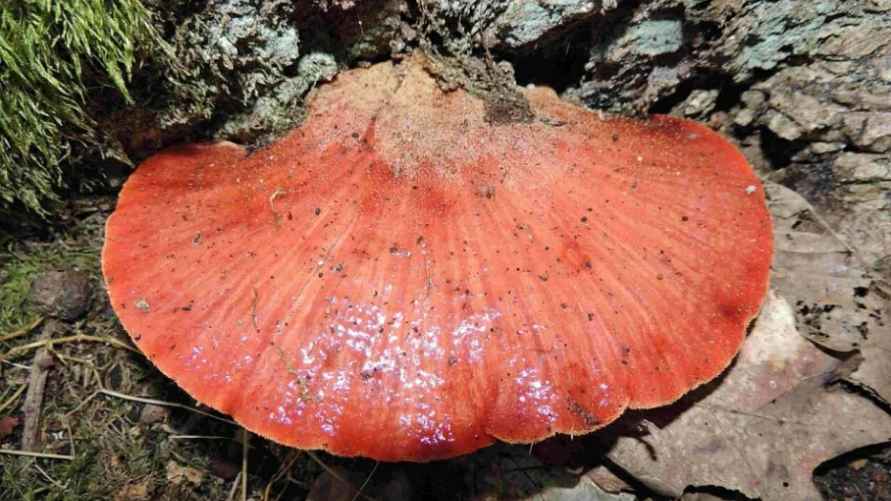 Фото с сайта smartpress.by