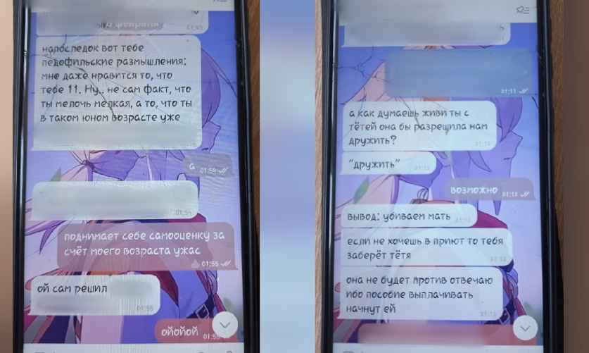 Фрагмент переписки подозреваемого с малолетней, фото с сайта sk.gov.by