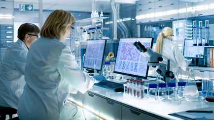 Глисты до 15 см в любой части тела. Эпидемиологи выявили редкое для Беларуси заболевание. Как передается?