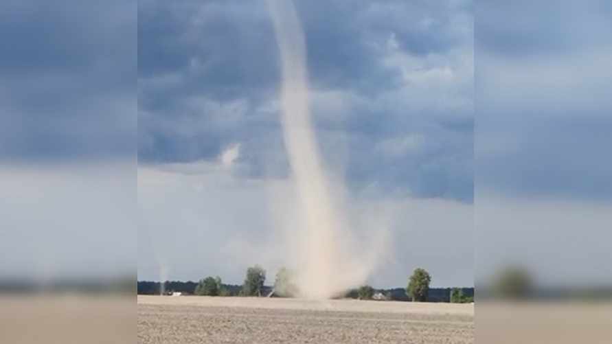 Фото: скриншот видео