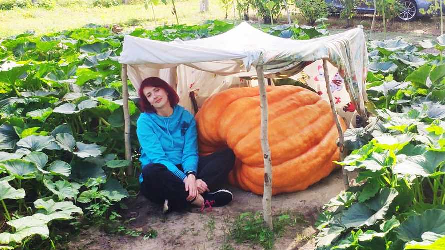 "Давно вы у нее живете?" — Гигантская тыква из-под Бреста "взорвала" Интернет. А есть такую можно?