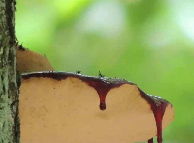 Фото с сайта smartpress.by