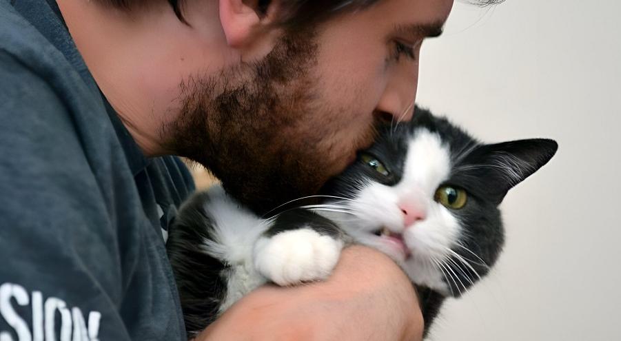 Как воспринимают поцелуи кошки и собаки? Если люди