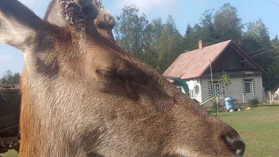 Фото с сайта sb.by