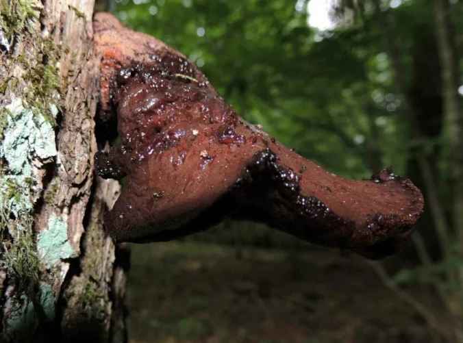 Фото с сайта smartpress.by