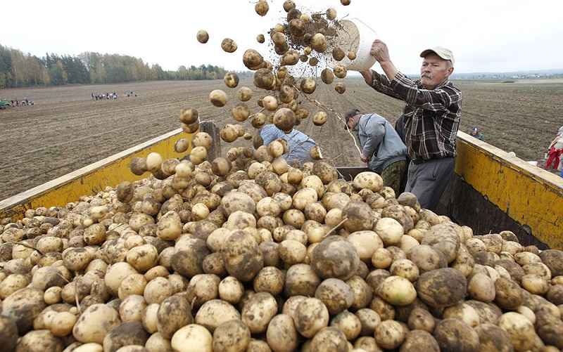 Фото иллюстрационное
