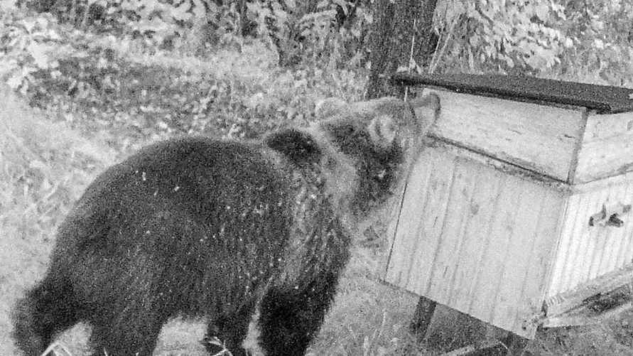 Фото: instagram.com/pripyat_national_park