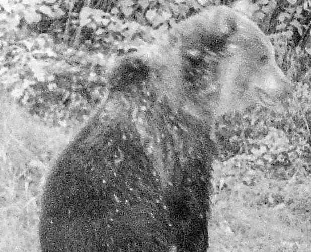 Фото: instagram.com/pripyat_national_park