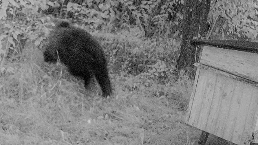 Фото: instagram.com/pripyat_national_park
