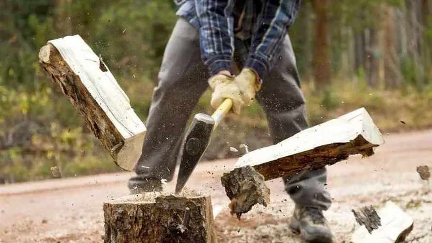 В Минлесхозе рассказали, почем продадут дрова белорусам к зиме