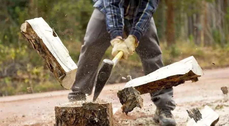 По его словам, цена дровяной древесины устанавливается индивидуально
