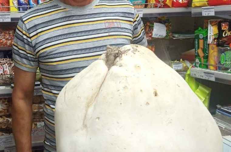 Фото: vdobrushe_news