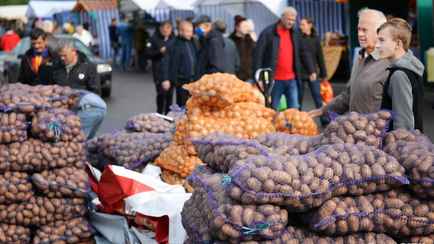 Лук от Br0,65, томат Br0,6 — В Белкоопсоюзе рассказали, за сколько скупают овощи у белорусов. А почем картошку?