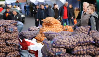 Лук от Br0,65, томат Br0,6 — В Белкоопсоюзе рассказали, за сколько скупают овощи у белорусов. А почем картошку?