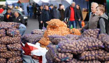 Лук от Br0,65, томат Br0,6 — В Белкоопсоюзе рассказали, за сколько скупают овощи у белорусов. А почем картошку?