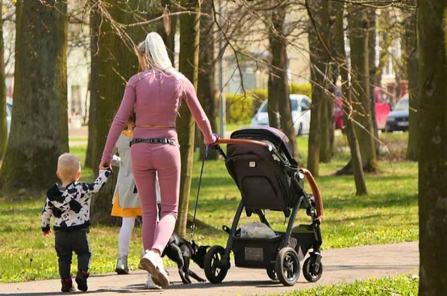 Фото иллюстрационное: pixabay.com