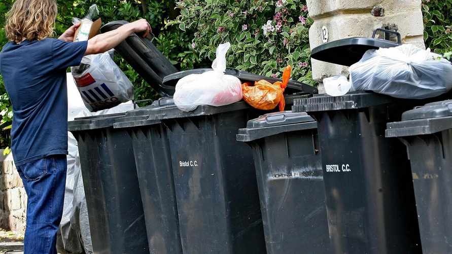 В ЖКХ пояснили, когда за выброс мусора (даже в контейнер) белорусам может «прилететь» штраф в Br740