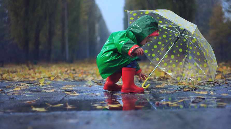 Когда ждать настоящую осень? Синоптики пообещали белорусам туманы и тепло