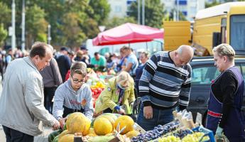 Перец по 1,2 рубля, помидоры по рублю — Продавцы рассказали, какие овощи белорусам нужно успеть купить впрок до подорожания